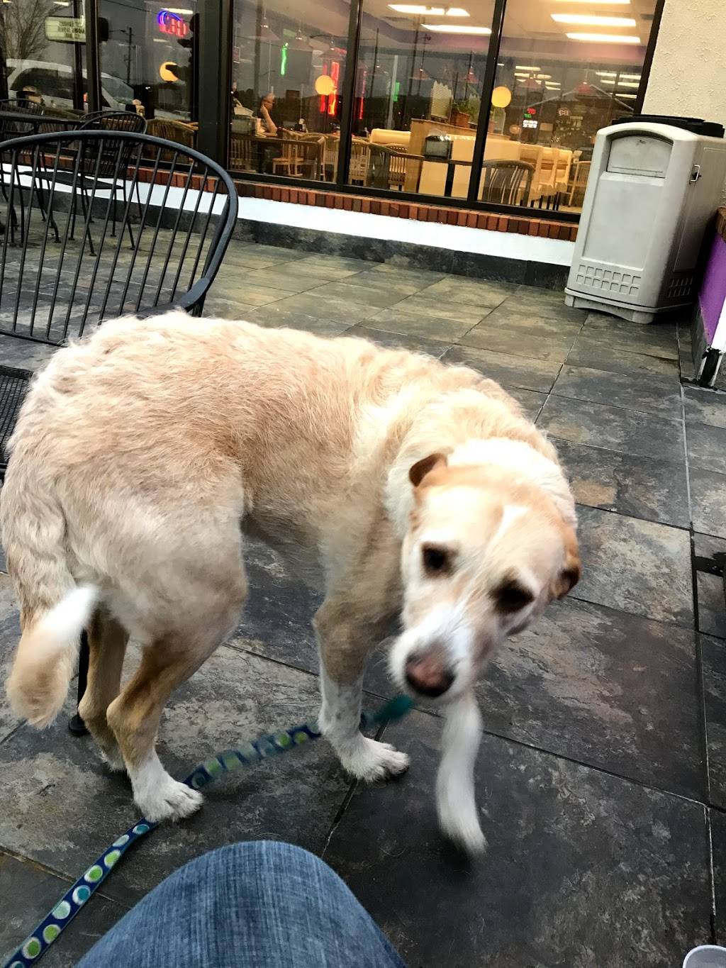 The Purple Onion Deli & Grill | restaurant | 2296 Pelham Pkwy, Pelham, AL 35124, USA | 2054038600 OR +1 205-403-8600