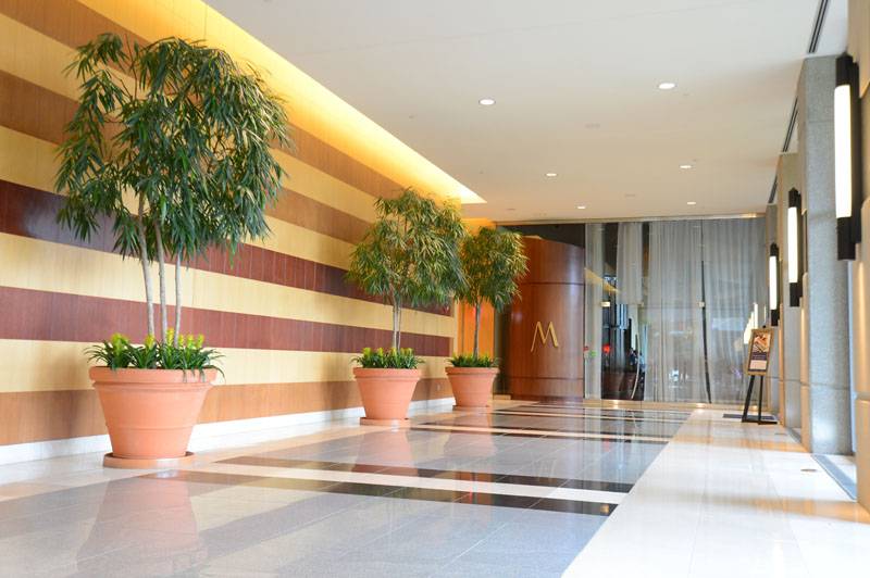 M at Miranova | restaurant | 2 Miranova Pl, Columbus, OH 43215, USA | 6146290000 OR +1 614-629-0000