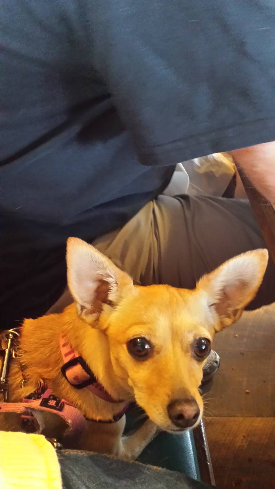 Via Main | restaurant | 132 Main St, Massena, NY 13662, USA | 3157640463 OR +1 315-764-0463