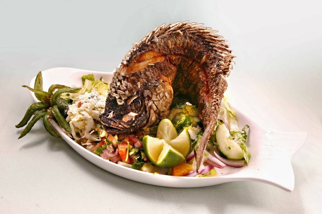 Plaza Garibaldi | night club | 1170 E Santa Clara St, San Jose, CA 95116, USA | 4082980121 OR +1 408-298-0121