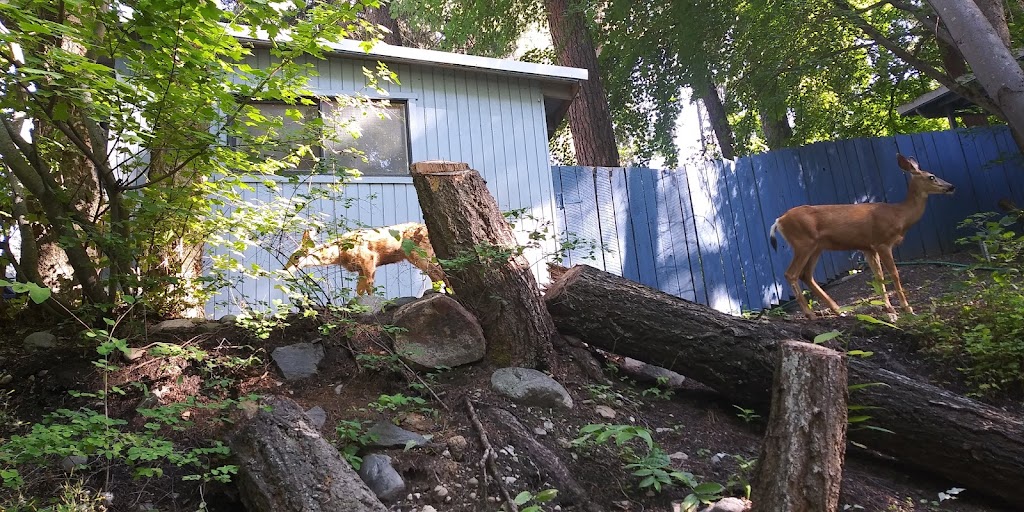 Watsons Alpenhorn Cafe | restaurant | 7600 S Lakeshore Rd, Chelan, WA 98816, USA | 5096879999 OR +1 509-687-9999