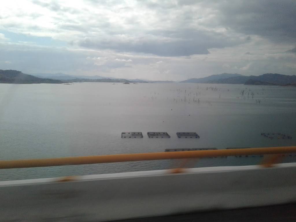 Taqueria Los Compadres | restaurant | 4753 FL-574, Plant City, FL 33567, USA | 8137587617 OR +1 813-758-7617