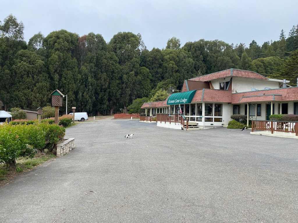 Ocean Cove Lodge | restaurant | 23255 Coast Hwy, Jenner, CA 95450, USA | 7078473158 OR +1 707-847-3158