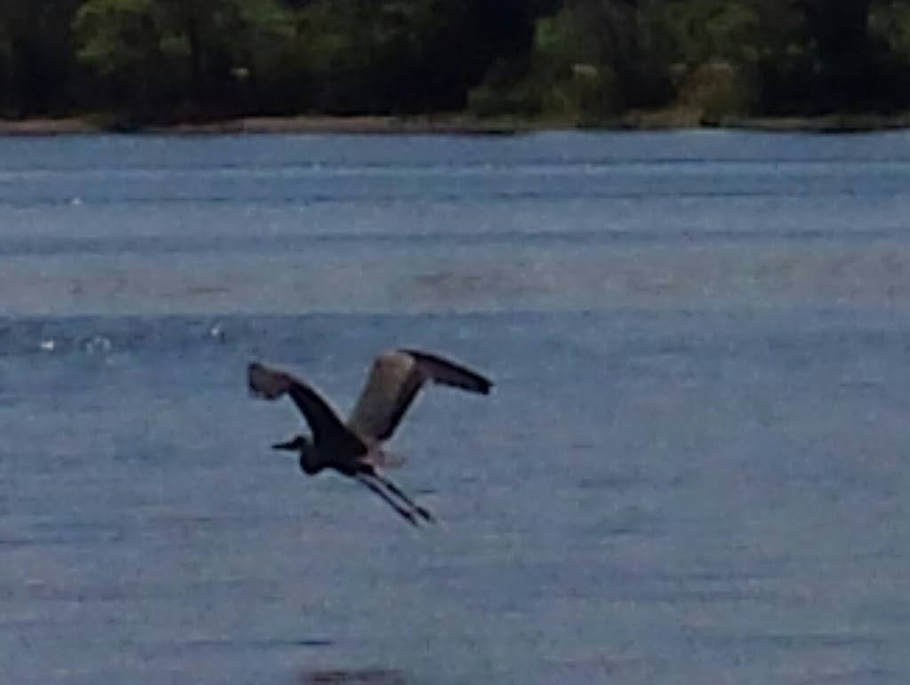 BRs Cafe | restaurant | 550 Monponsett St, Halifax, MA 02338, USA | 7812935606 OR +1 781-293-5606