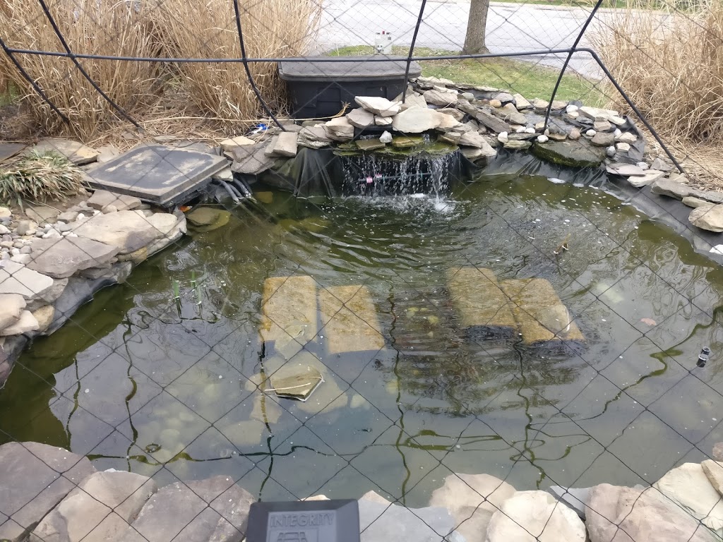 The Salty Cow | restaurant | 840 Street Rd, West Chester, PA 19382, USA | 6103990900 OR +1 610-399-0900