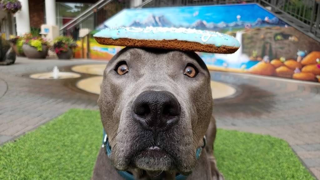 Pickles Playland | restaurant | 12669 NE 85th St, Kirkland, WA 98033, USA | 4252984530 OR +1 425-298-4530