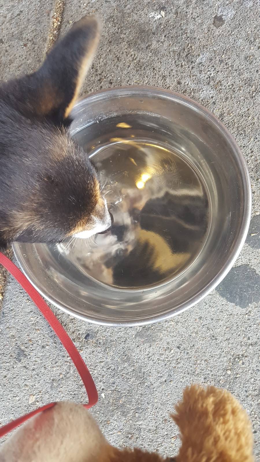 Sidewalk Cafe South Boston | cafe | 764 E 4th St, South Boston, MA 02127, USA | 6174641977 OR +1 617-464-1977