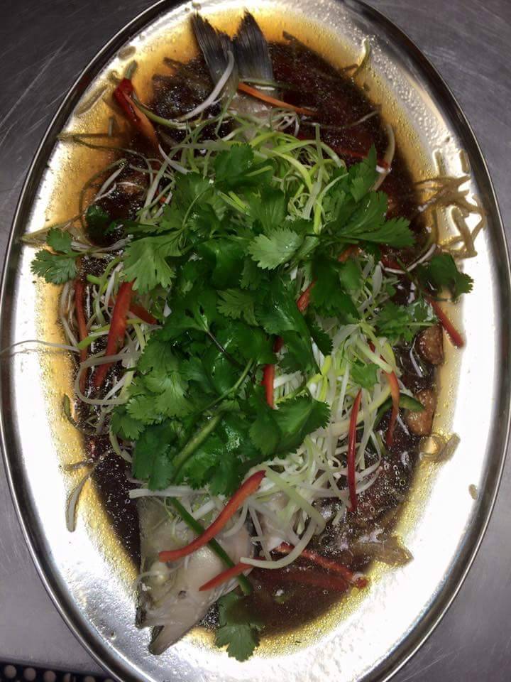 Sky Restaurant | restaurant | 12320 Bellaire Blvd, Houston, TX 77072, USA | 2814985322 OR +1 281-498-5322