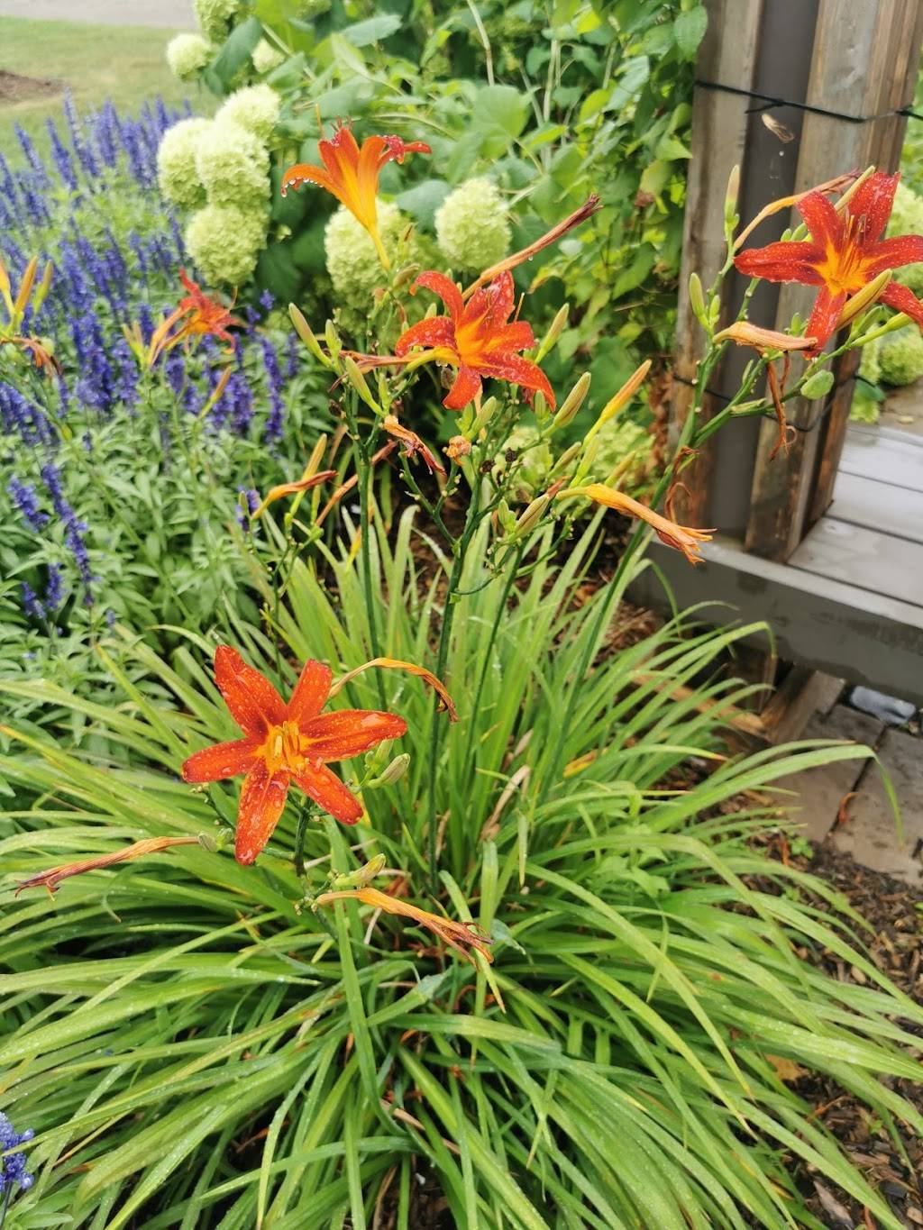 Red Chillie | restaurant | 1131 Nottinghill Gate, Oakville, ON L6M 2G3, Canada | 9058271779 OR +1 905-827-1779