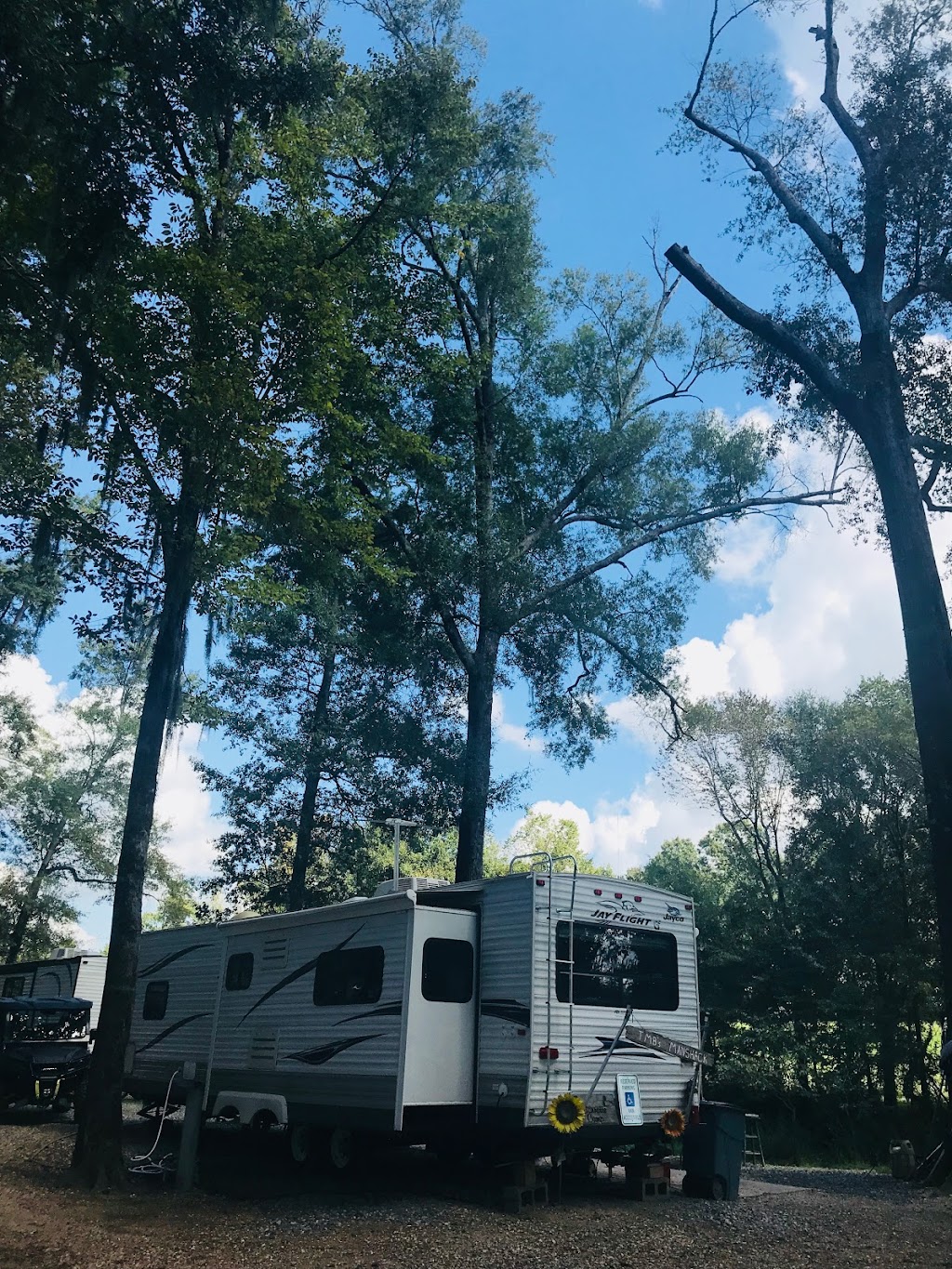 Joeys Moon Lake Marina | restaurant | 231 Moon Lake Rd, Monroe, LA 71203, USA | 3183816982 OR +1 318-381-6982