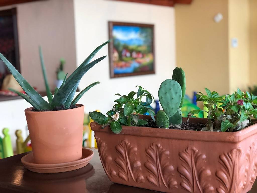 El Sombrero Mexican Grill | restaurant | 1595 E Silver Star Rd, Ocoee, FL 34761, USA | 4077303402 OR +1 407-730-3402