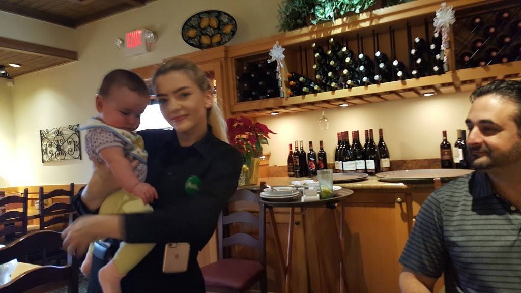 Olive Garden Italian Restaurant | meal takeaway | 13040 City Station Dr, Jacksonville, FL 32218, USA | 9046969502 OR +1 904-696-9502