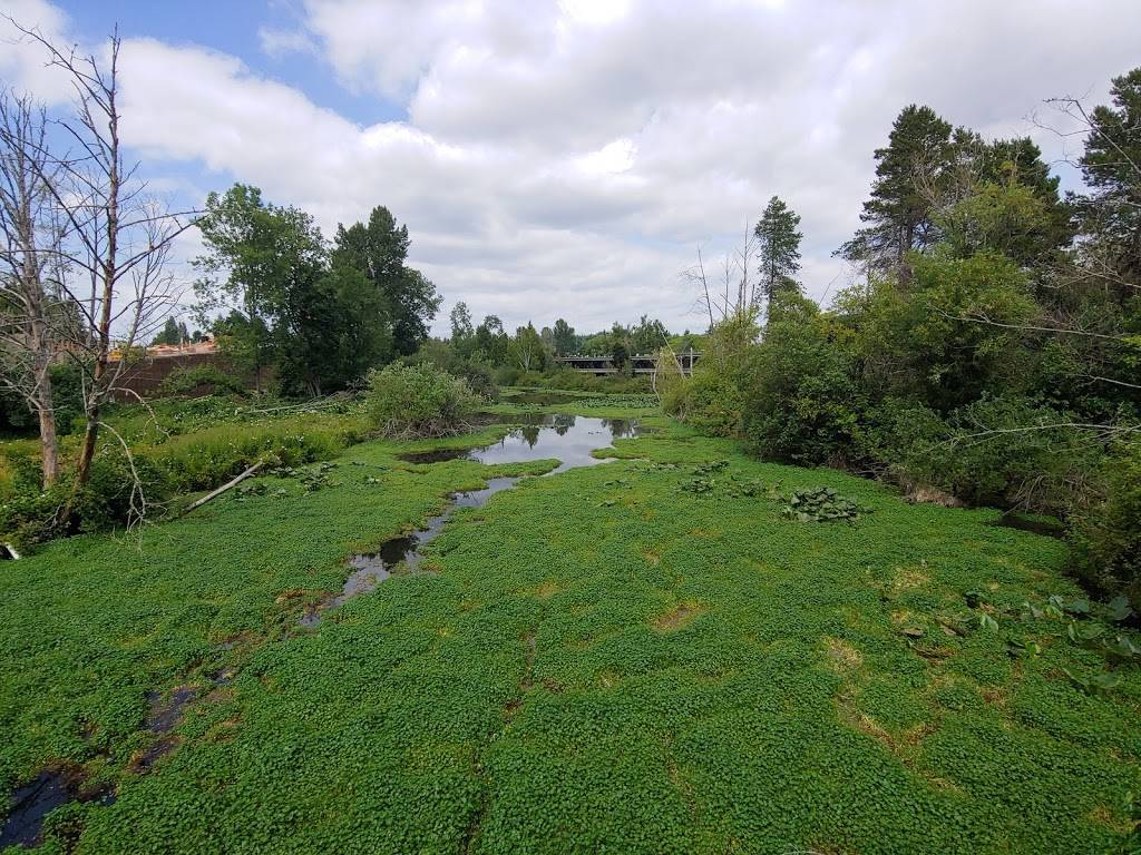 Dilettante Mocha Café | cafe | Bellefield Office Park, Conifer Building, 1450 114th Ave SE #120, Bellevue, WA 98004, USA | 4254514086 OR +1 425-451-4086