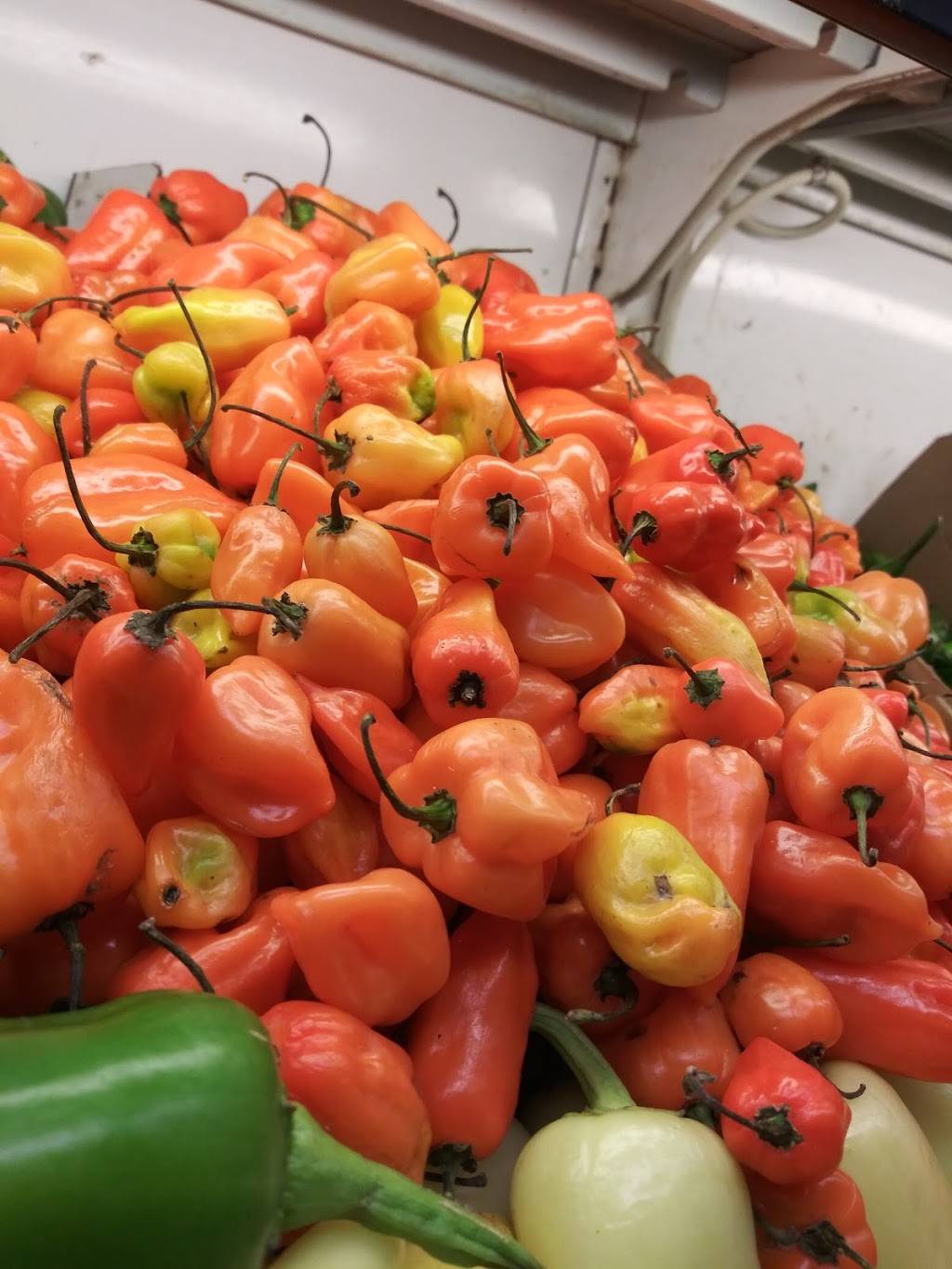 Subway Restaurants | restaurant | 3522 Tweedy Blvd, South Gate, CA 90280, USA | 3235636600 OR +1 323-563-6600