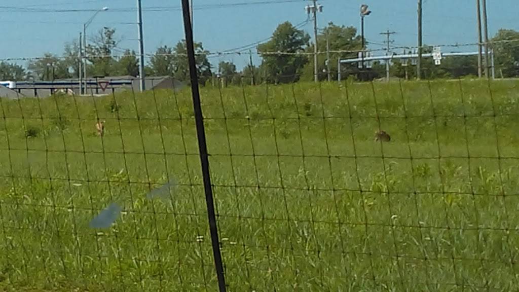 Subway | restaurant | 828 W Wolf St US41 &, IN-154, Sullivan, IN 47882, USA | 8122687827 OR +1 812-268-7827