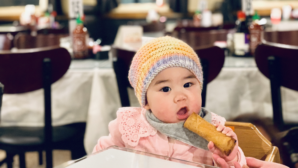 Bamboo Bistro LLC | restaurant | 1955 Wisconsin Ave, Grafton, WI 53024, USA | 2622048334 OR +1 262-204-8334