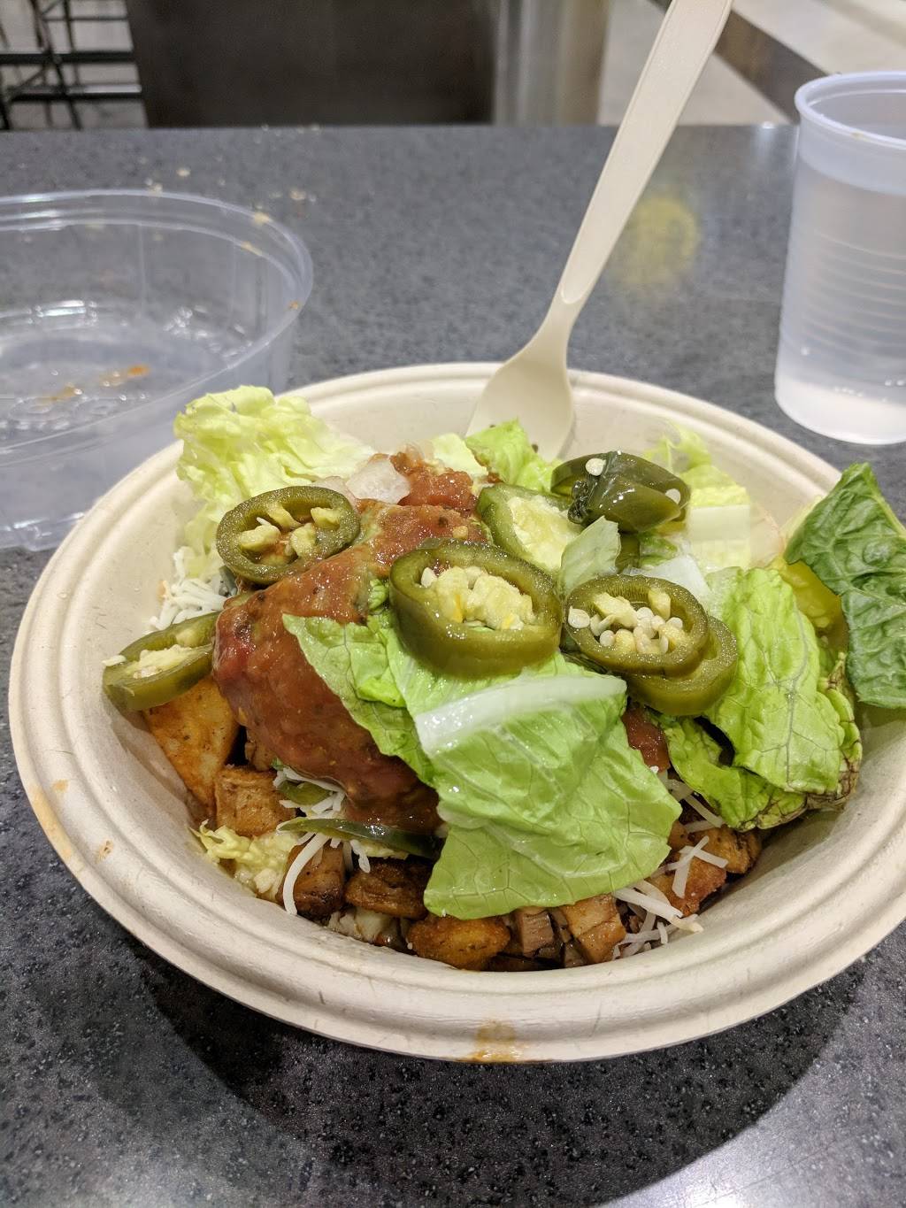 QDOBA Mexican Eats | restaurant | 2565 World Gateway Pl Airport-Dtw, Mcnamara Terminal, Detroit, MI 48242, USA | 7349413480 OR +1 734-941-3480