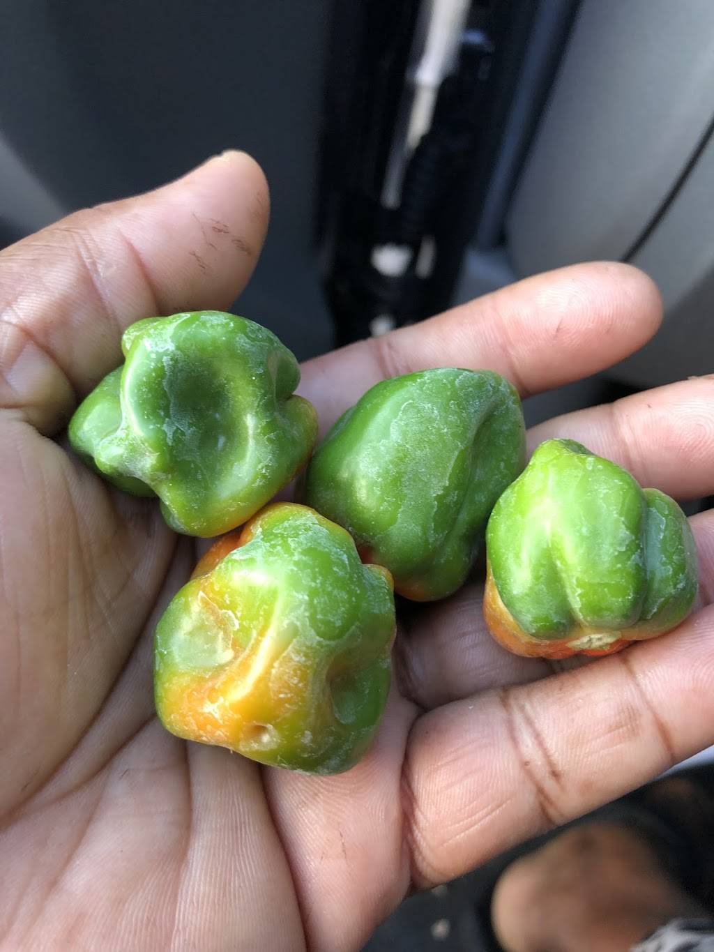 Lady P Jamaican Jerk Restaurant | restaurant | 1696 SE Port St Lucie Blvd, Port St. Lucie, FL 34952, USA | 7726266721 OR +1 772-626-6721