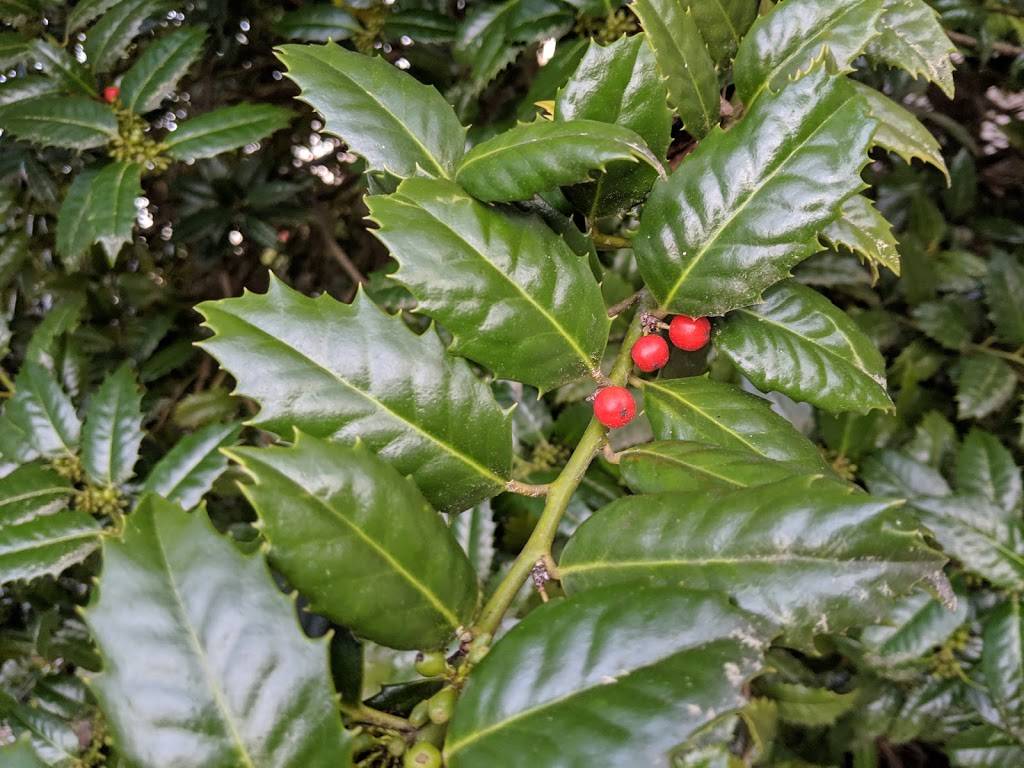 Catch Bar & Grill | restaurant | 233 Inman St E, Cleveland, TN 37311, USA | 4237901235 OR +1 423-790-1235