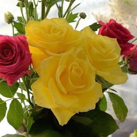 Georges Family Dining | restaurant | 303 S Wayne Rd, Westland, MI 48186, USA | 7344677700 OR +1 734-467-7700