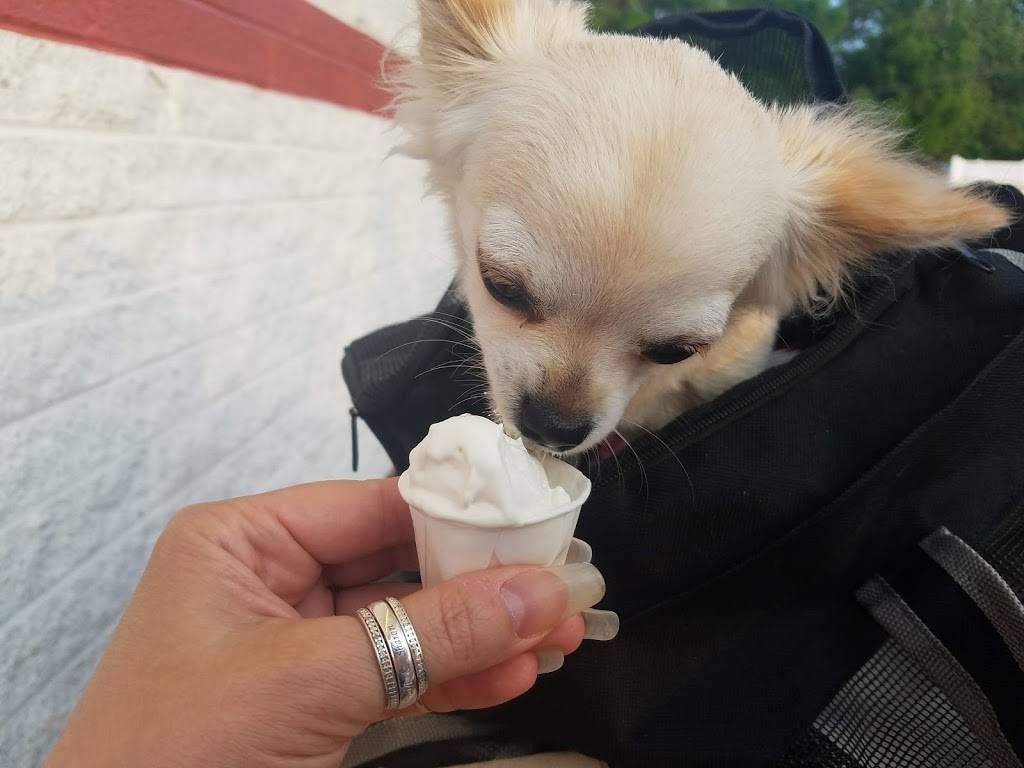 Ritas Italian Ice | restaurant | 640 E Penn Ave, Cleona, PA 17042, USA | 7173064217 OR +1 717-306-4217