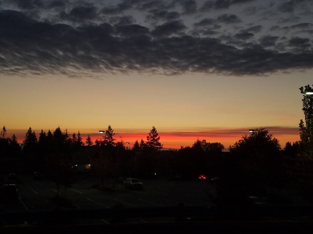 Urban City Coffee | cafe | 4313 212th St SW, Mountlake Terrace, WA 98043, USA | 4257761273 OR +1 425-776-1273