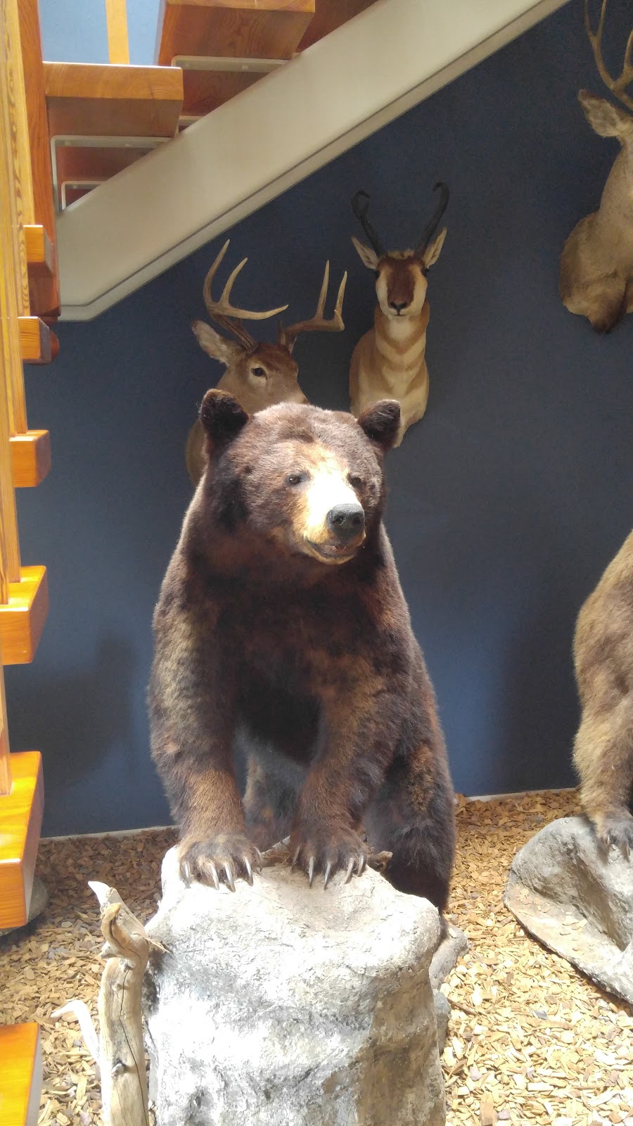 Franconia Square Cafe & Market | restaurant | 513 Allentown Rd, Souderton, PA 18964, USA | 2157211525 OR +1 215-721-1525