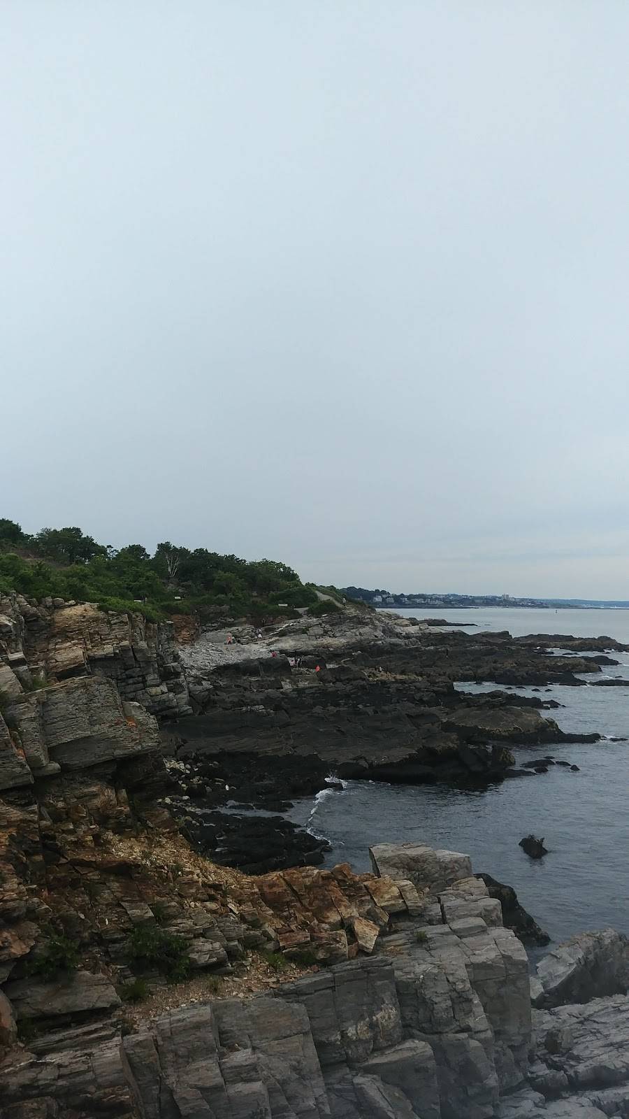 Ellie Michellies Eatery | restaurant | 100 W Maple St, Morrison, TN 37357, USA | 9316353287 OR +1 931-635-3287