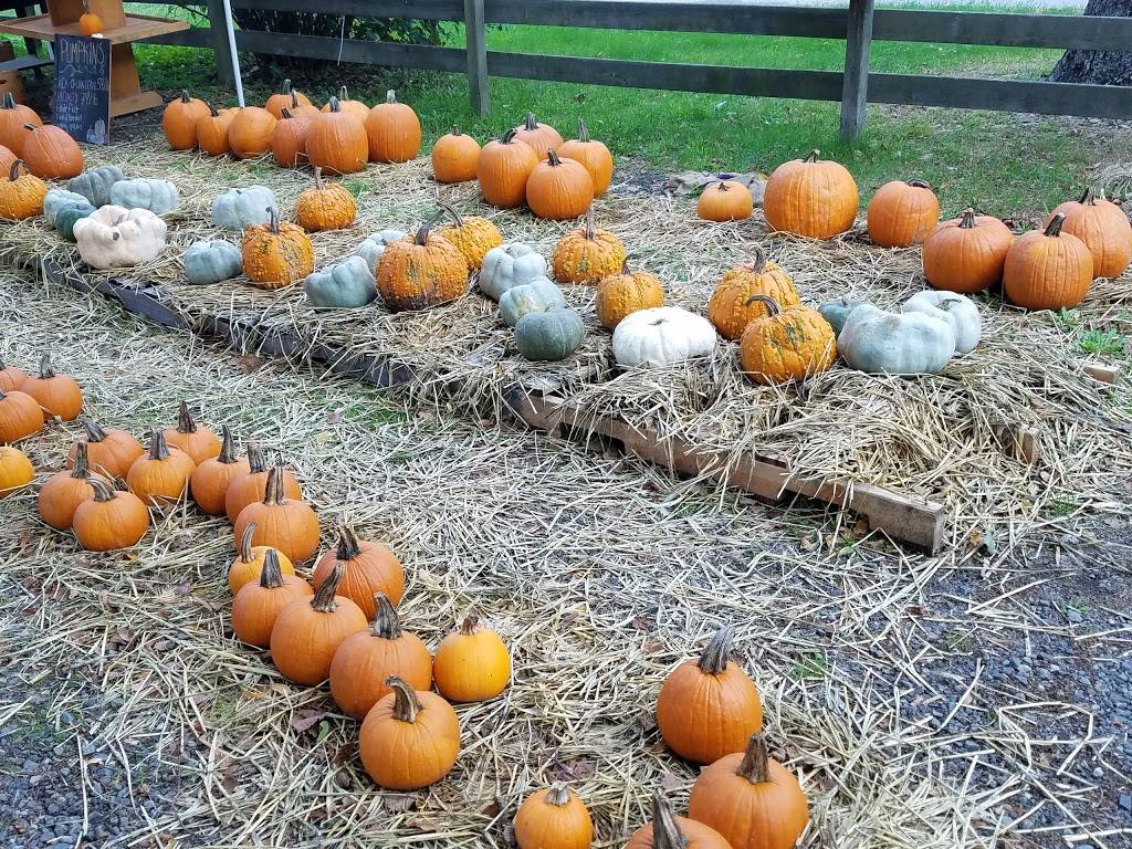 Bramhalls Country Store | meal takeaway | 2 Sandwich Rd, Plymouth, MA 02360, USA | 5087461844 OR +1 508-746-1844