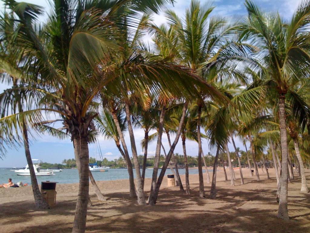 Kona Cafe Hawaiian Barbecue And Catering | restaurant | 4605 Main St, Springfield, OR 97478, USA | 5417417136 OR +1 541-741-7136