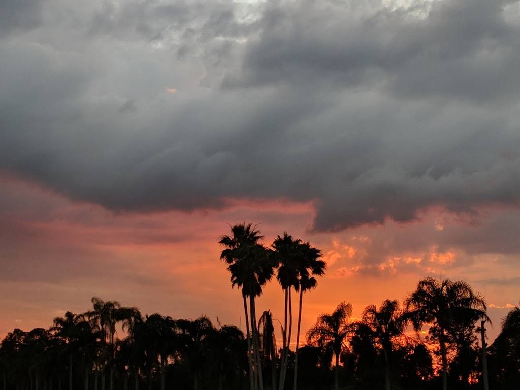 Wild Turkey Tavern | restaurant | 2751 US-27, Avon Park, FL 33825, USA | 8634525284 OR +1 863-452-5284