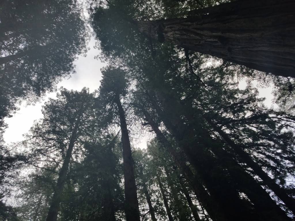 The Polo Lounge | restaurant | 1100 Jericho Turnpike, Westbury, NY 11590, USA | 5163337117 OR +1 516-333-7117