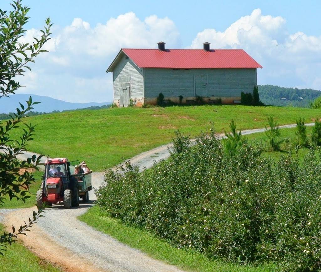 Mercier Orchards | bakery | 8660 Blue Ridge Dr, Blue Ridge, GA 30513, USA | 7066323411 OR +1 706-632-3411