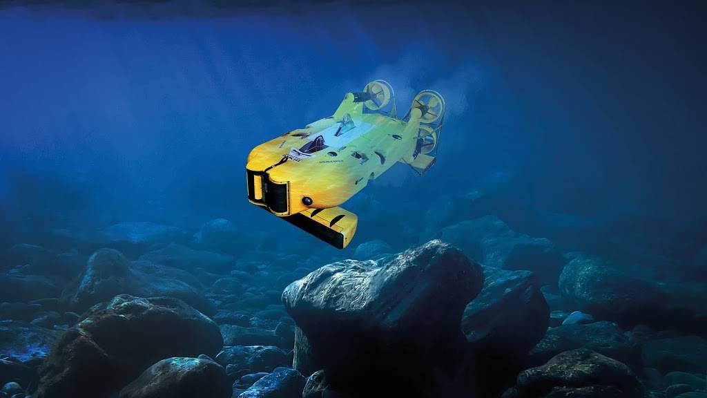 DAS Ocean | restaurant | 8500 Cypresswood Dr, Houston, TX 77070, USA | 7132545770 OR +1 713-254-5770