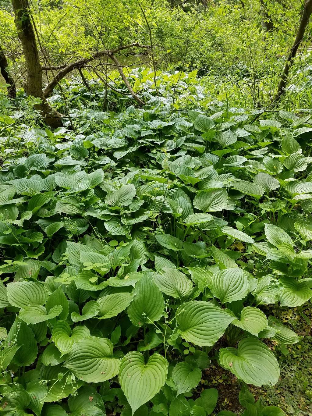 Gunpowder Lodge | restaurant | 10092 Belair Rd, Kingsville, MD 21087, USA | 4102562626 OR +1 410-256-2626