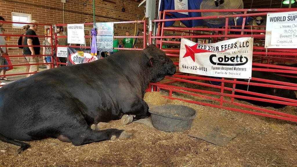 Stockmans Inn | restaurant | Logan Ave, Des Moines, IA 50131, USA | 5152767574 OR +1 515-276-7574