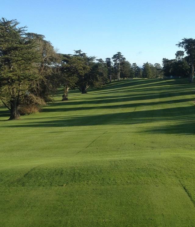Pajaro Valley Golf Club | restaurant | 967 Salinas Rd, Royal Oaks, CA 95076, USA | 8317243851 OR +1 831-724-3851