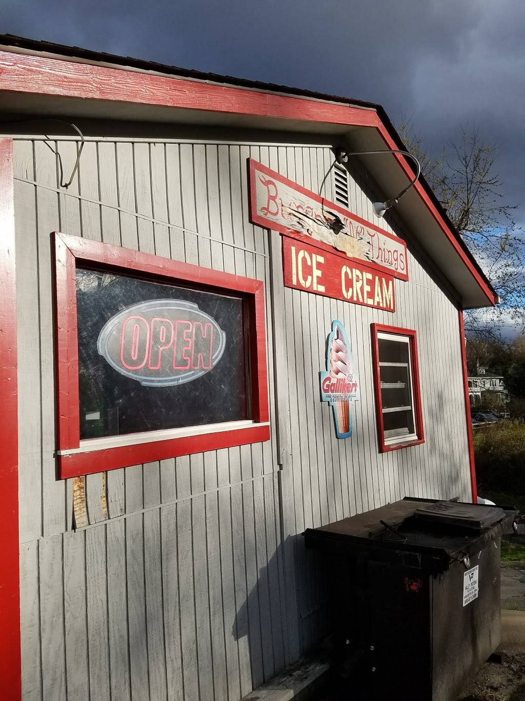 Burgers N Things | restaurant | 12000 Lee Hwy, Sperryville, VA 22740, USA | 5409878311 OR +1 540-987-8311