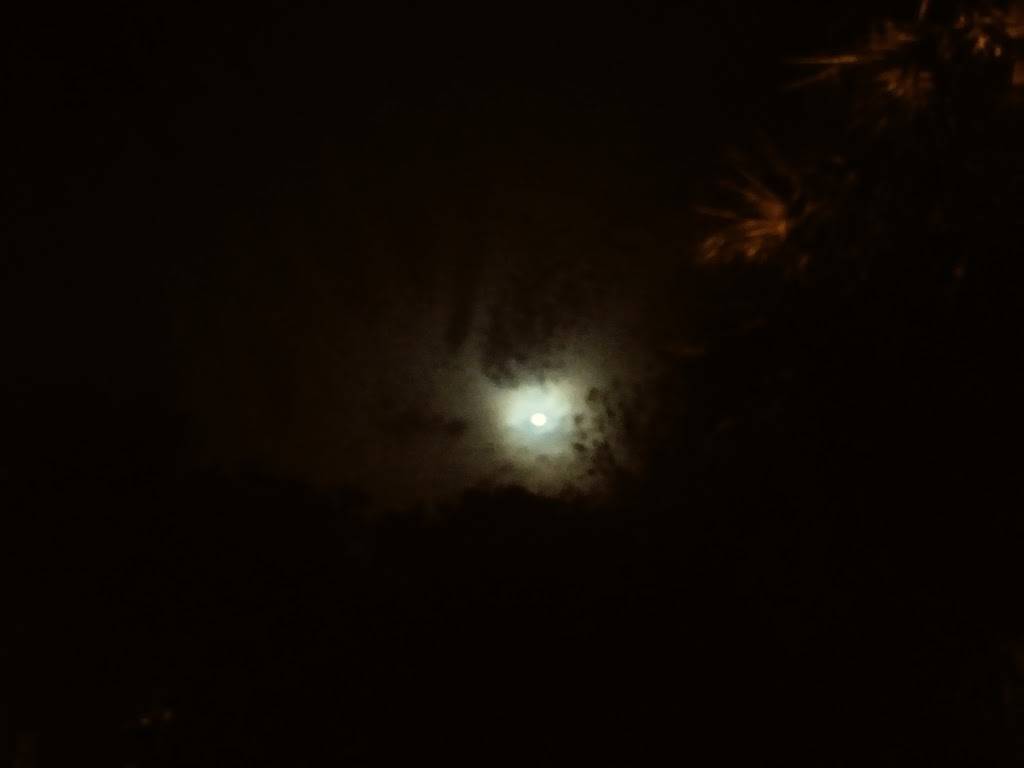 Speedy Two Sandwich Shop | restaurant | 2957 Dr Martin Luther King Jr Blvd, Fort Myers, FL 33916, USA | 2393344788 OR +1 239-334-4788