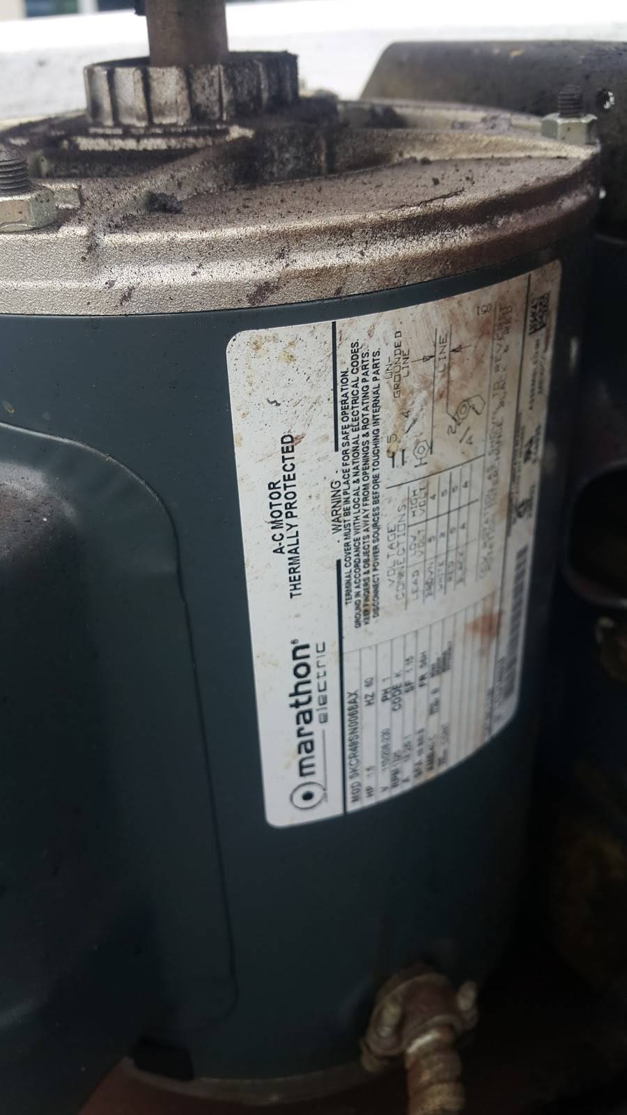 Beijing Delight | restaurant | 8646 Flower Ave, Takoma Park, MD 20912, USA | 3016083844 OR +1 301-608-3844