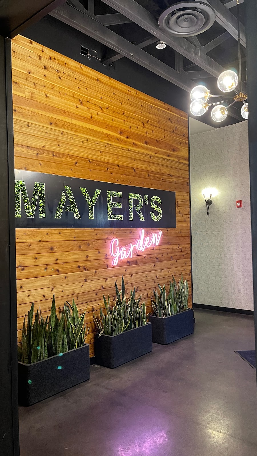 Mayers Garden | restaurant | 2422 N Henderson Ave, Dallas, TX 75206, USA | 9723734647 OR +1 972-373-4647