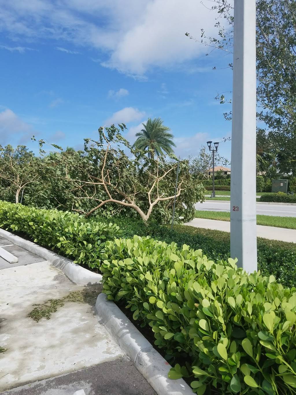 Starbucks | cafe | 7901 W Atlantic Ave #105, Delray Beach, FL 33446, USA | 5612541665 OR +1 561-254-1665