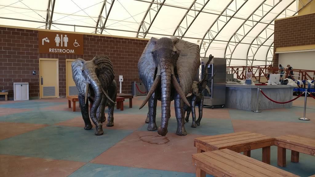 Lions Den Café | cafe | 2999 Co Rd 53, Keenesburg, CO 80643, USA | 3035360118 OR +1 303-536-0118