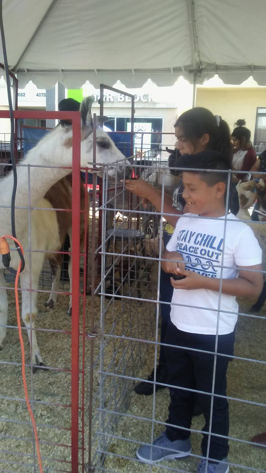 Subway Restaurants | restaurant | 4070 Tweedy Blvd A, South Gate, CA 90280, USA | 3235662100 OR +1 323-566-2100