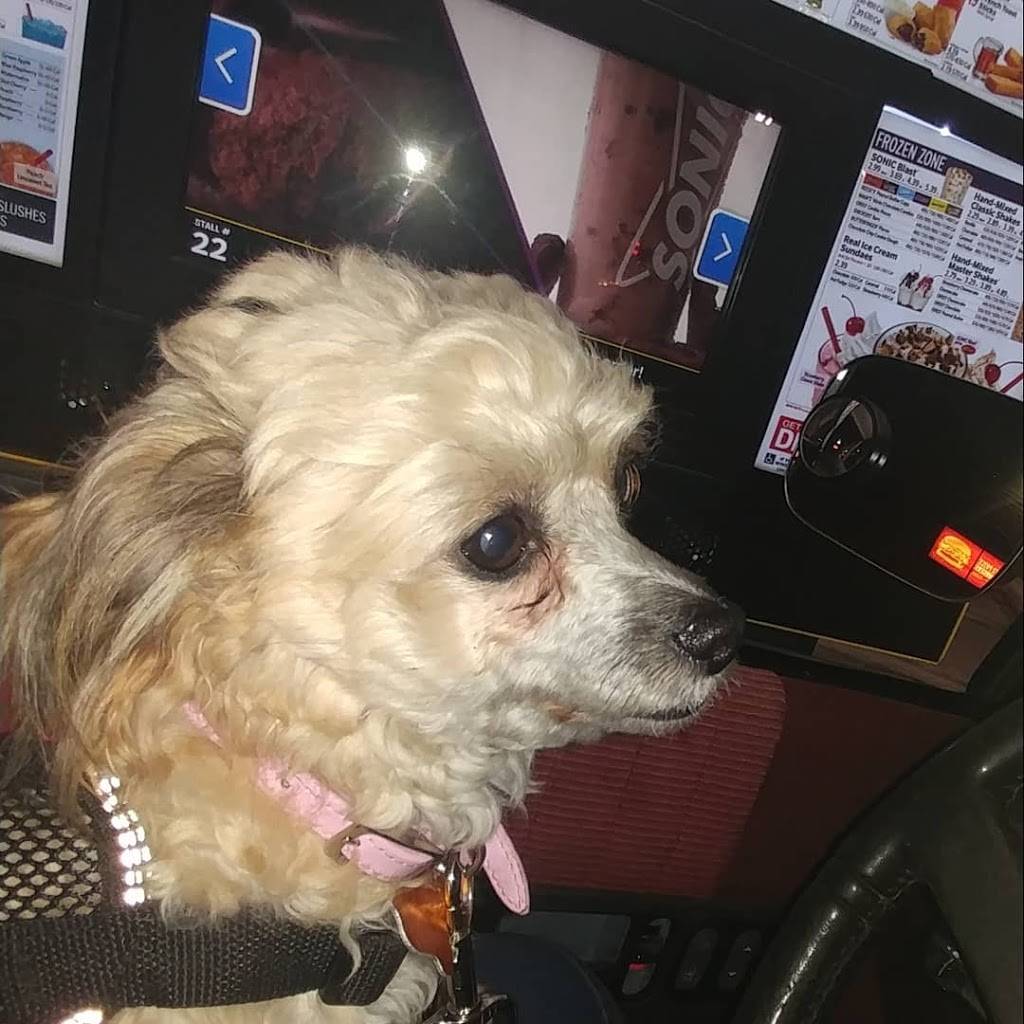 Sonic Drive-In | restaurant | 500 Highway 79 N, Henderson, TX 75652, USA | 9036573840 OR +1 903-657-3840