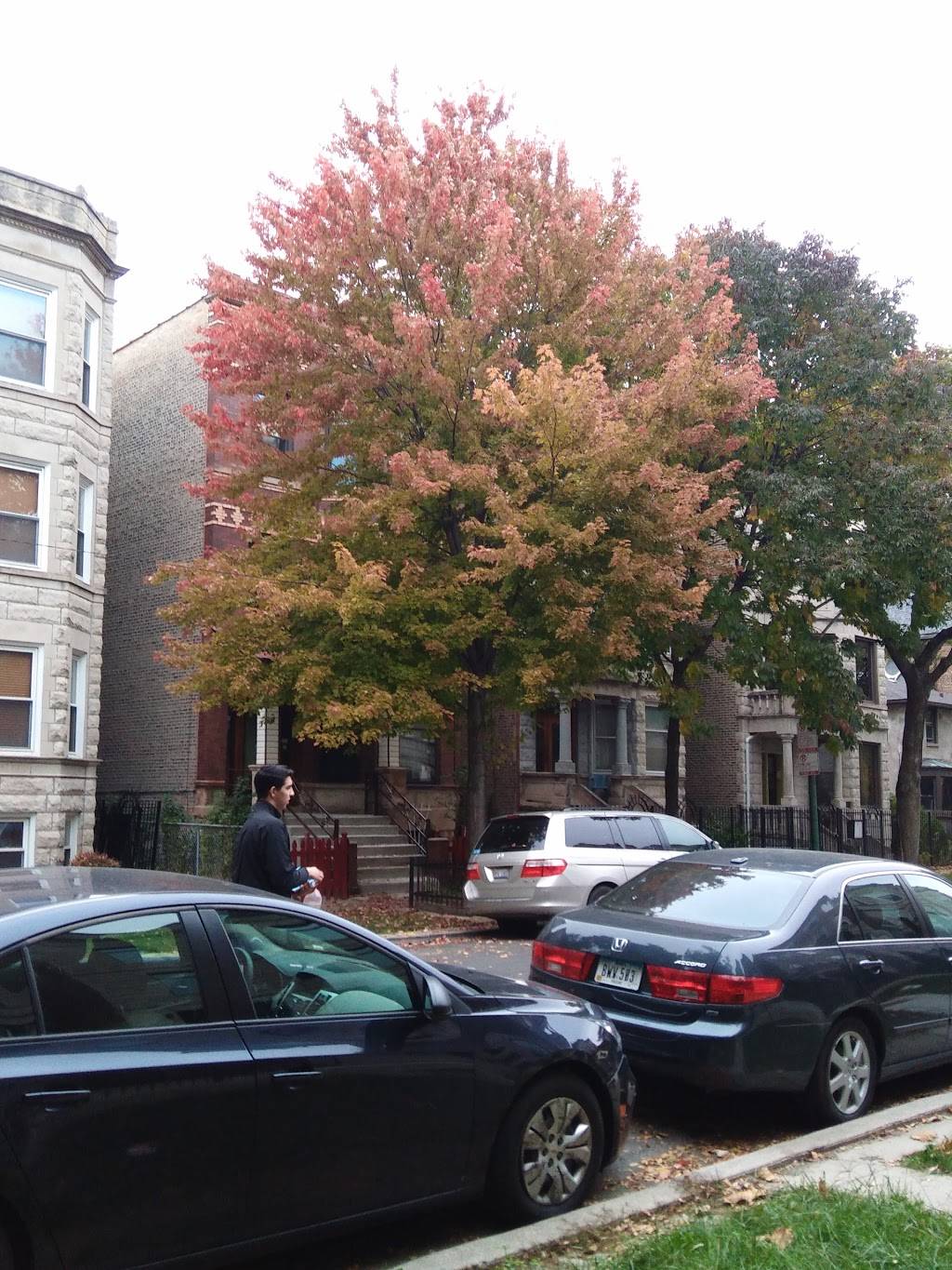 La Perla Tapatia | restaurant | 3251 W North Ave, Chicago, IL 60647, USA | 7734863120 OR +1 773-486-3120