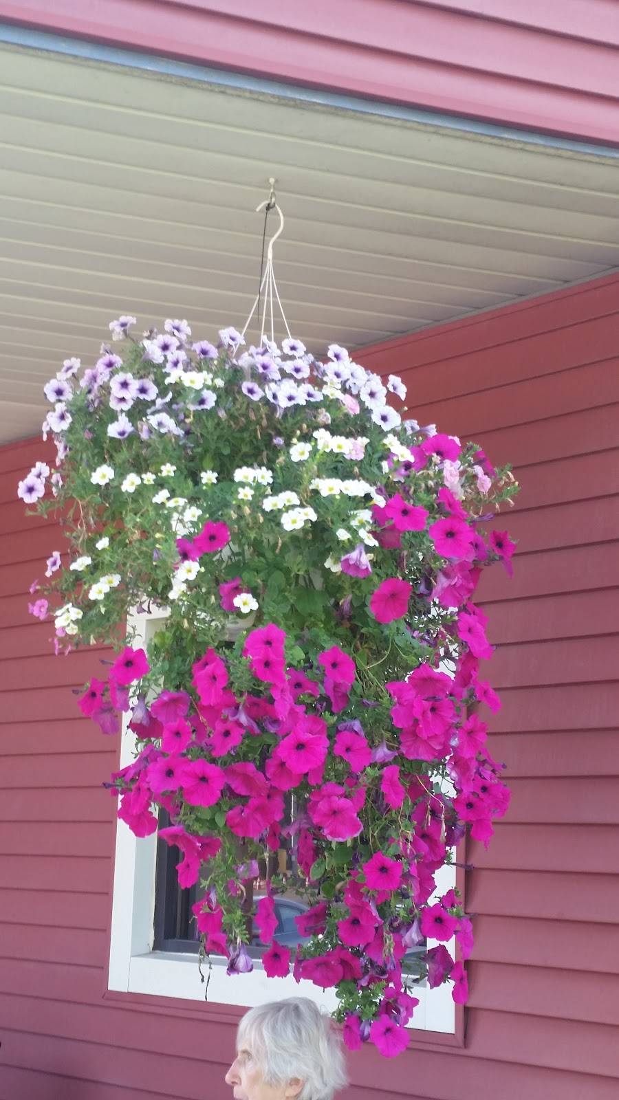 Presque Isle Pizza Restaurant / Connies Ice Cream | meal takeaway | 3150 W 32nd St, Erie, PA 16506, USA | 8148381008 OR +1 814-838-1008