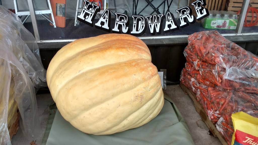 China House | restaurant | 106 W Main St, Pinckney, MI 48169, USA | 7348789000 OR +1 734-878-9000