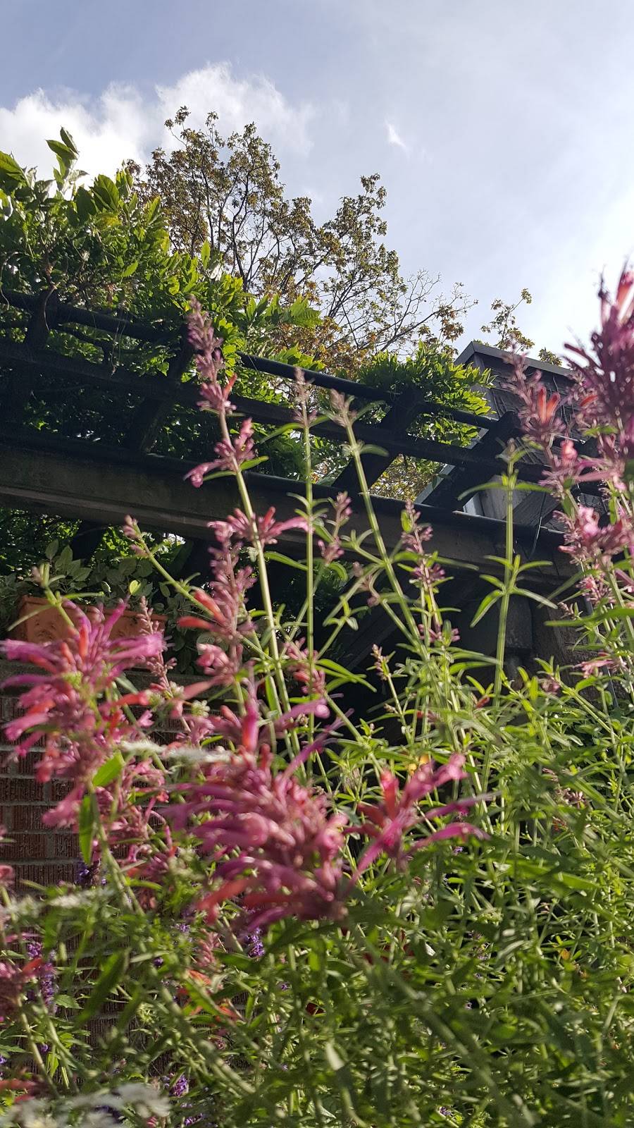 Cicchetti | restaurant | 121 E Boston St, Seattle, WA 98102, USA | 2068594155 OR +1 206-859-4155