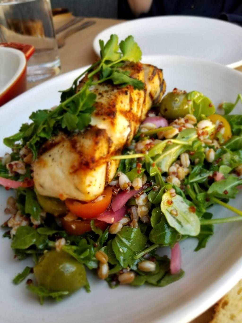 Osteria La Buca | restaurant | 5210 Melrose Ave, Los Angeles, CA 90038, USA | 3234621900 OR +1 323-462-1900